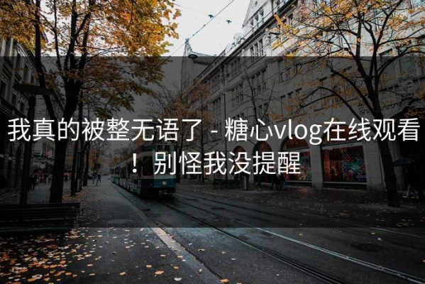 我真的被整无语了 - 糖心vlog在线观看！别怪我没提醒