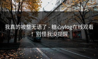 我真的被整无语了 - 糖心vlog在线观看！别怪我没提醒