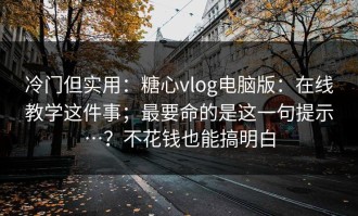 冷门但实用：糖心vlog电脑版：在线教学这件事；最要命的是这一句提示…？不花钱也能搞明白