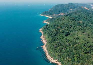 官网跳转里最关键的一步——17c.com｜网页版这件事 - 这次终于说清楚。做对这一步体验立刻不一样